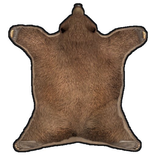 Rug Bear Skin