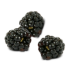 Black Raspberries