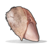 Raw Chicken Breast